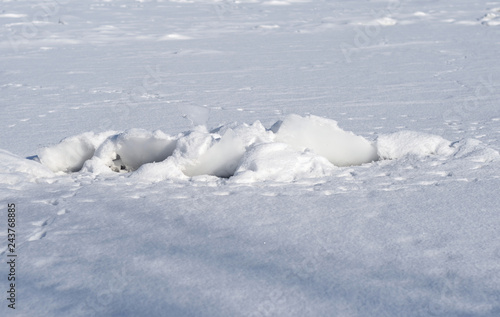 Fresh snow background.