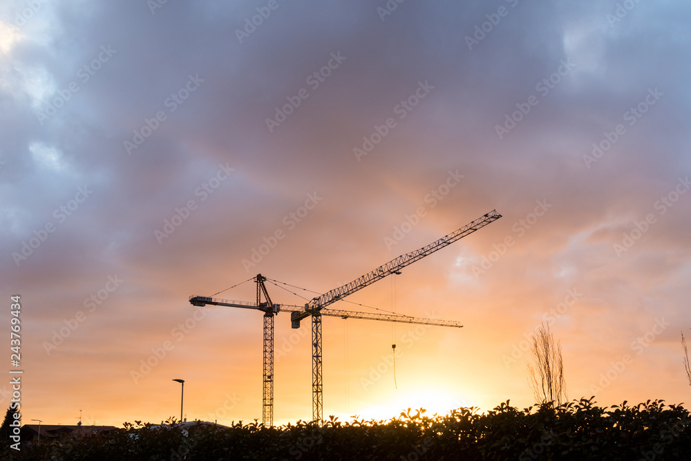 cranes at the sunset in a cloudy day cranes at the sunset in a cloudy day