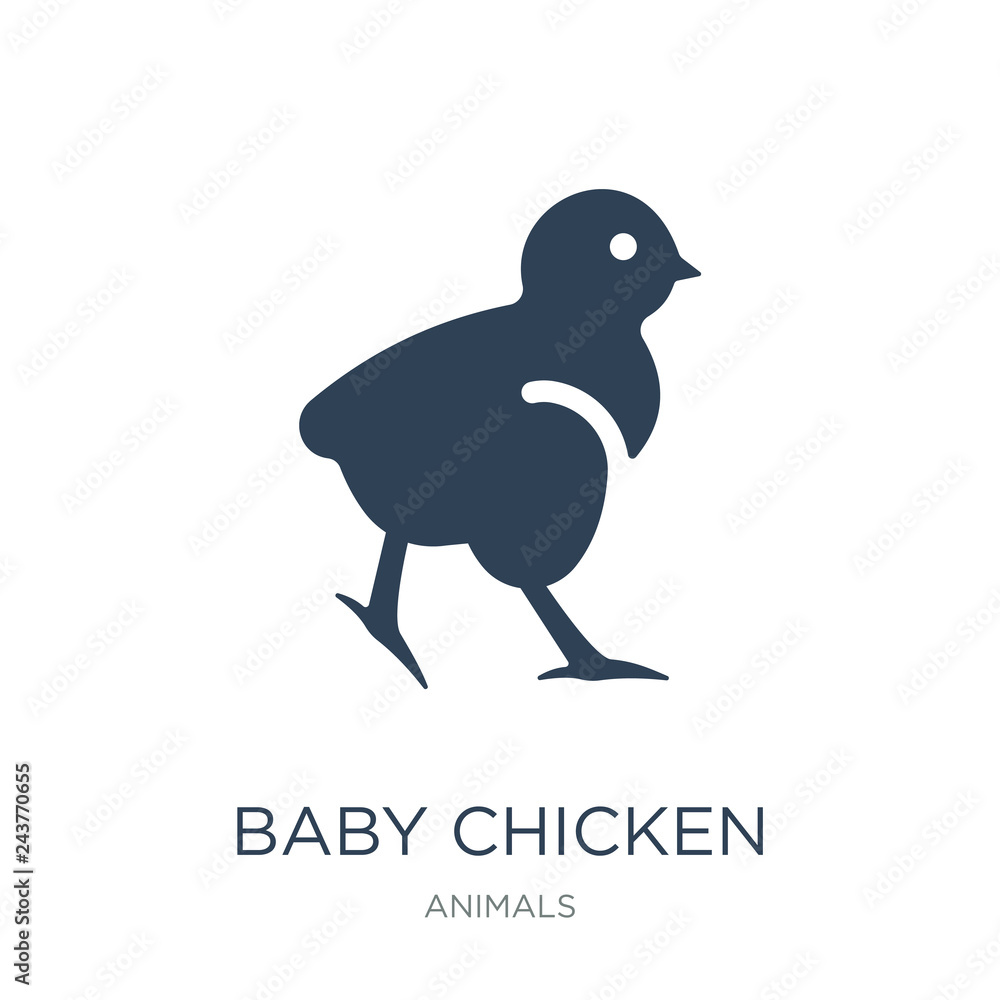Fototapeta premium baby chicken icon vector on white background, baby chicken trend