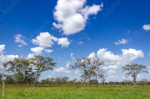 beautiful landscape sky and clouds in venezuela