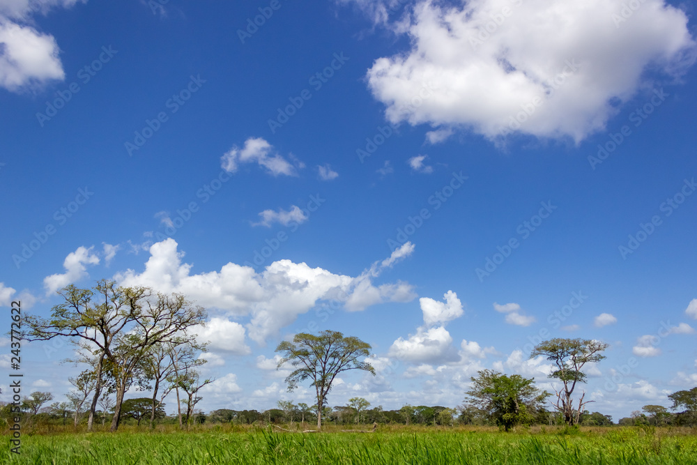 Fototapeta premium beautiful landscape sky and clouds in venezuela