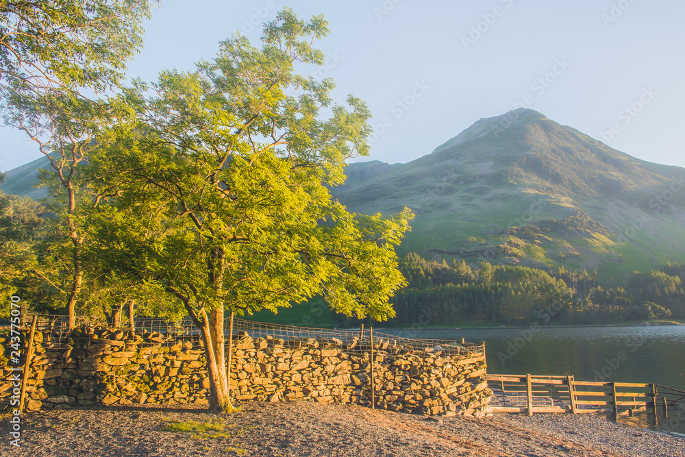 Obraz premium Beautiful landscape of Cumbria, Uk.Tree, stone wall, lake and mountain lit by afternoon light.