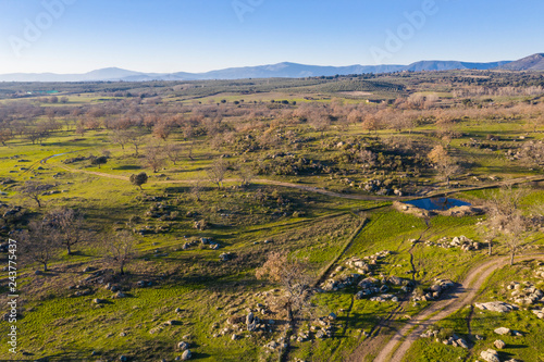 An aerial view of the amazing "Dehesa Extremeña" is what we found at Extremadura region outdoors, grassfields, lagoons, oaks and lot of cow cattle in the farmland fields of Spain countryside panorama