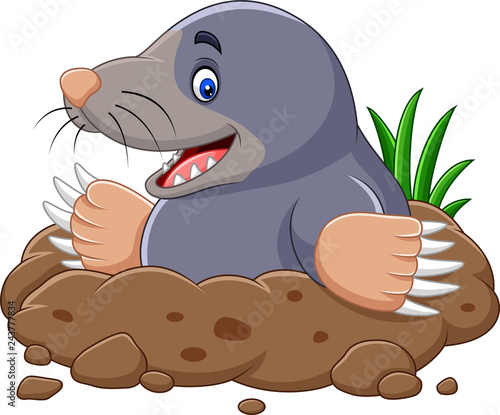 Cartoon mole come out of the hole