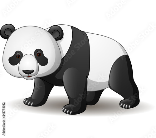 Fototapeta Naklejka Na Ścianę i Meble -  Cartoon panda isolated on white background