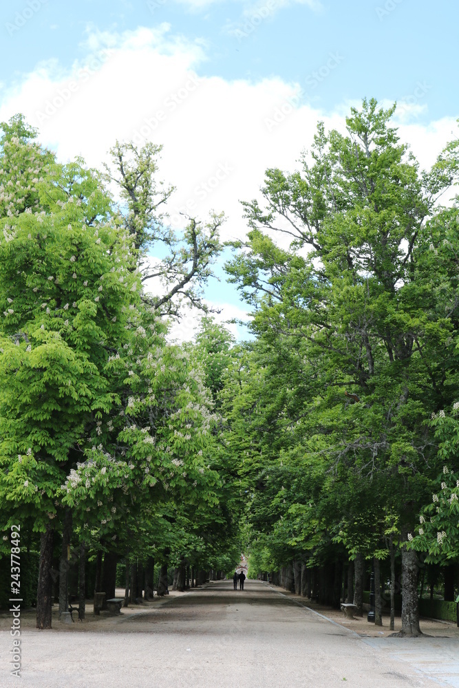 Beautiful landscape of the large gardens of the Royal Palace of La Granja de San Ildefonso, Segovia, Spain Beautiful landscape of the large gardens of the Royal Palace of La Granja de San Ildefonso, Segovia, Spain
