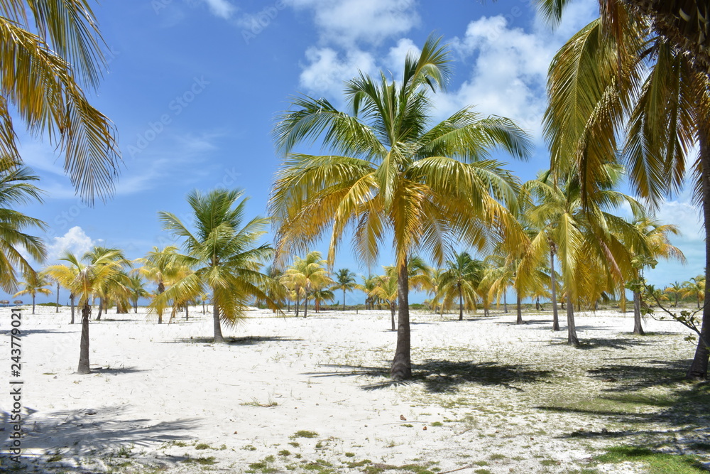 Beach Beach