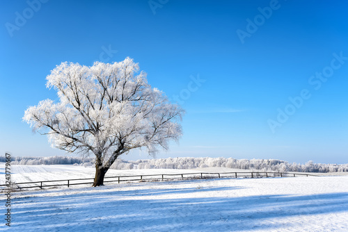 Landschaft in Masuren im Winter © cameris