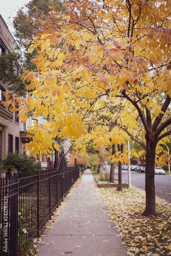 changing autumn colors on neighborhood city streets