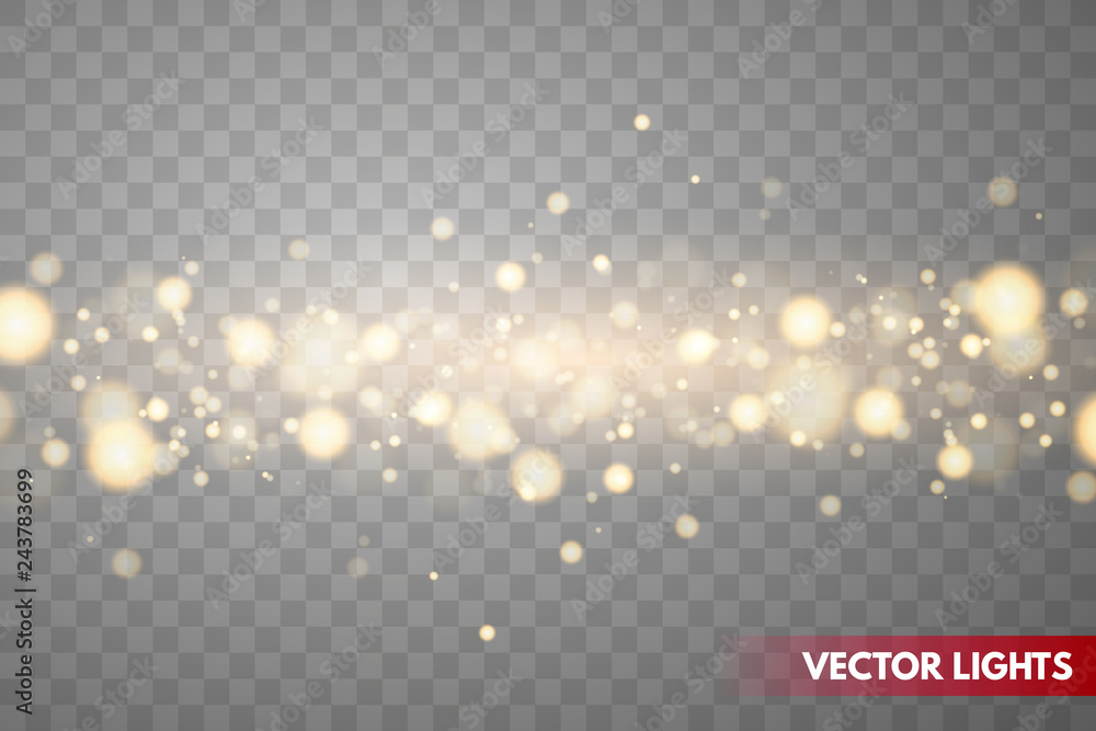 Shining bokeh isolated on transparent background. Vector Christmas bokeh lights.