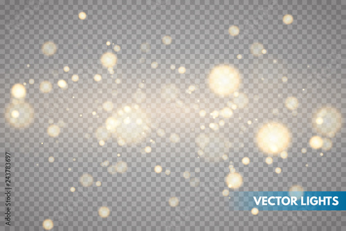 Shining bokeh isolated on transparent background. 