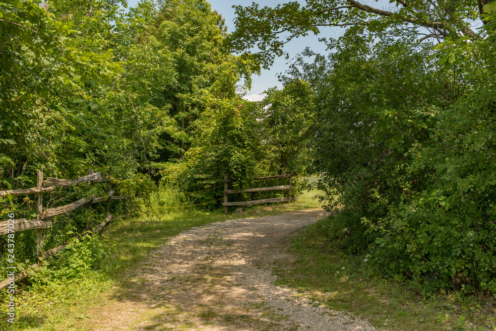 Garden Pathway Garden Pathway