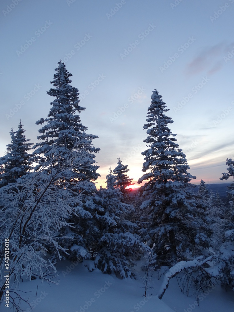 Snowy landscape in the Ural mountains. Russia