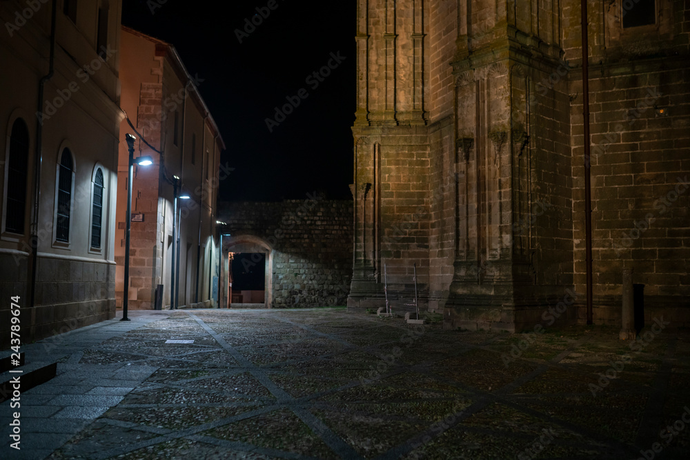 Plasencia old and new Cathedral, a representation of Gothic and Roman styles, going back to the medieval era inside west Spain an amazing view to our culture history. An awe medieval religious town
