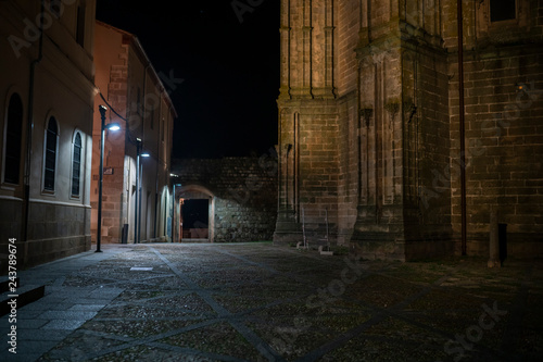 Plasencia old and new Cathedral  a representation of Gothic and Roman styles  going back to the medieval era inside west Spain an amazing view to our culture history. An awe medieval religious town 