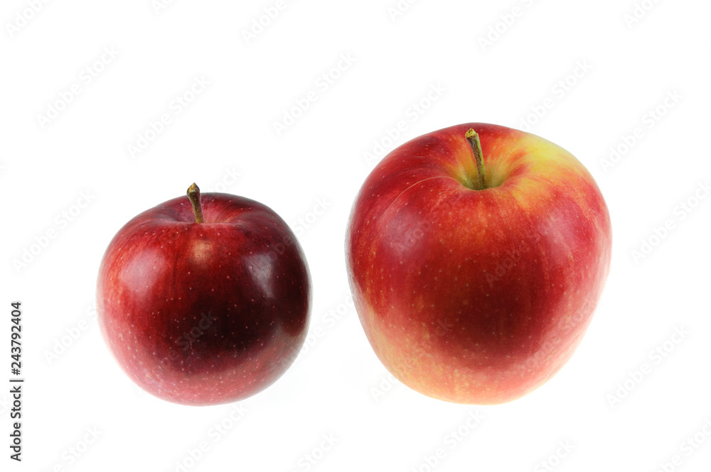 apples arrangement from small to large isolated on white background apples arrangement from small to large isolated on white background