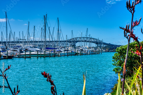 Auckland Harbour Bridge