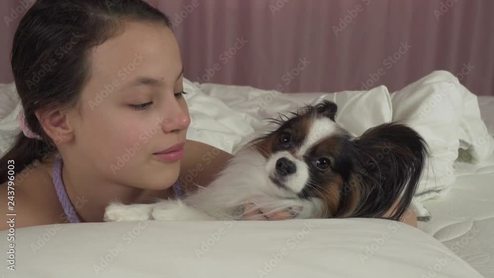 Happy teen girl kisses and plays with dog Papillon in bed stock footage video Happy teen girl kisses and plays with dog Papillon in bed stock footage video