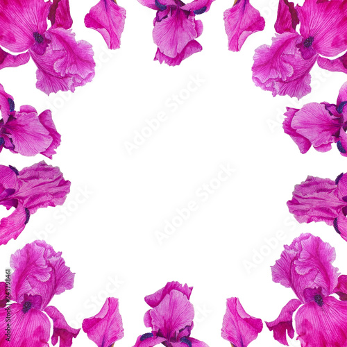 Wallpaper Mural Flowers Irises watercolor spring Botanical design illustration greeting card invitation decoration Torontodigital.ca