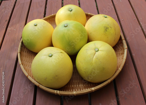 チャンドラ ポメロ