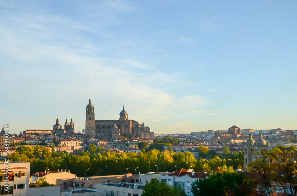 Obraz premium 朝日を浴びるサラマンカ大聖堂（スペイン・サラマンカ）