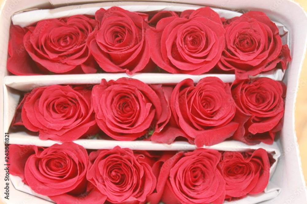 Obraz premium wedding