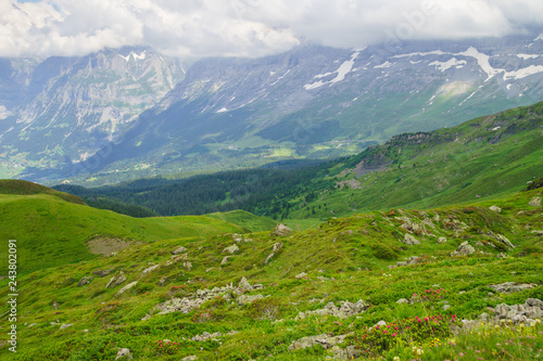 Alpine peaks landskape background. Jungfrau  Bernese highland. Alps  tourism  journey  hiking concept.