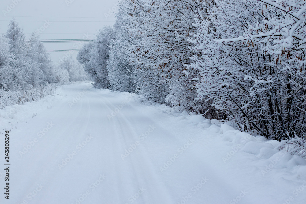 Fototapeta premium winter road in the forest