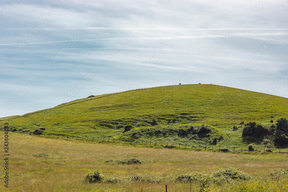 Fototapeta premium Green Grass Hill Countryside View