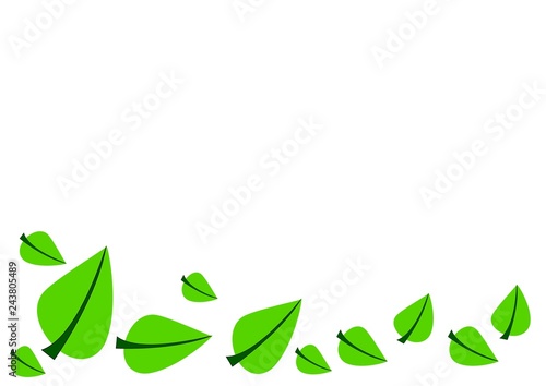 green leaf isolated on white background © phumpatp