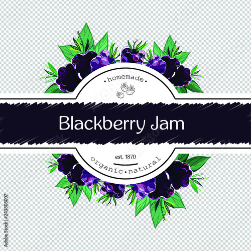 Hand-drawing blackberry jam packing label design. Blackberry logo design element. Isolated vector illustration