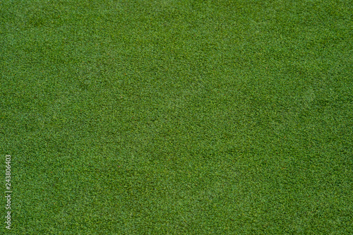 green grass turf floor texture background photo
