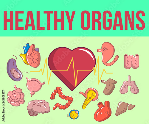 Healthy organs concept banner. Cartoon banner of healthy organs vector concept for web, giftcard and postcard