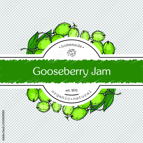 Hand-drawing gooseberry jam packing label design. Gooseberry logo design element. Isolated vector illustration