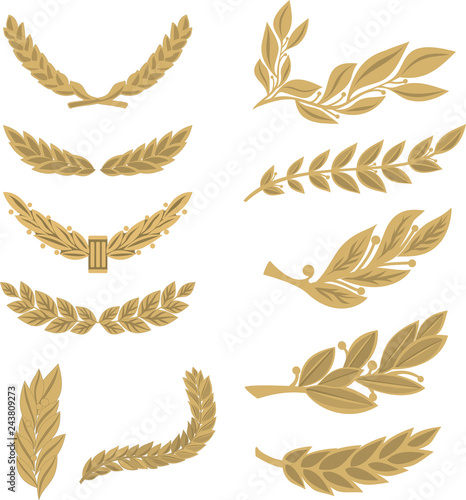 golden vector laurel branches on a white background