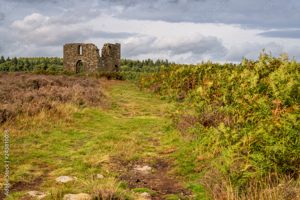 North York Moors landscape, looking at Skelton Tower, seen from the Levisham Moor, North Yorkshire, England, UK