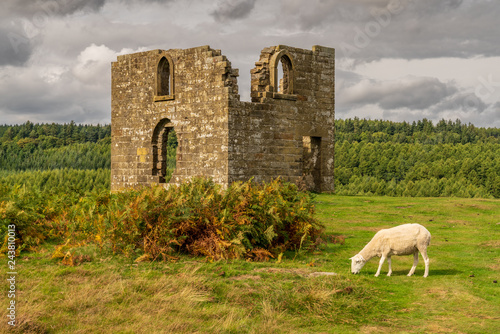 North York Moors landscape, looking at Skelton Tower, seen from the Levisham Moor, North Yorkshire, England, UK photo