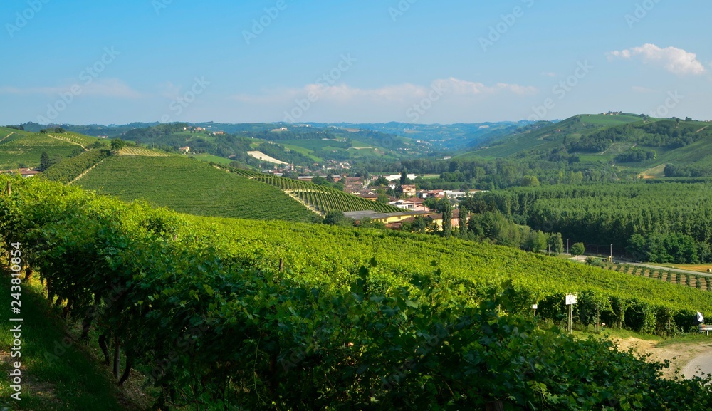 Obraz premium Grinzane Cavour, Piedmont, Italy. July 2018. At the foot of the castle all around heavenly views of the vineyards