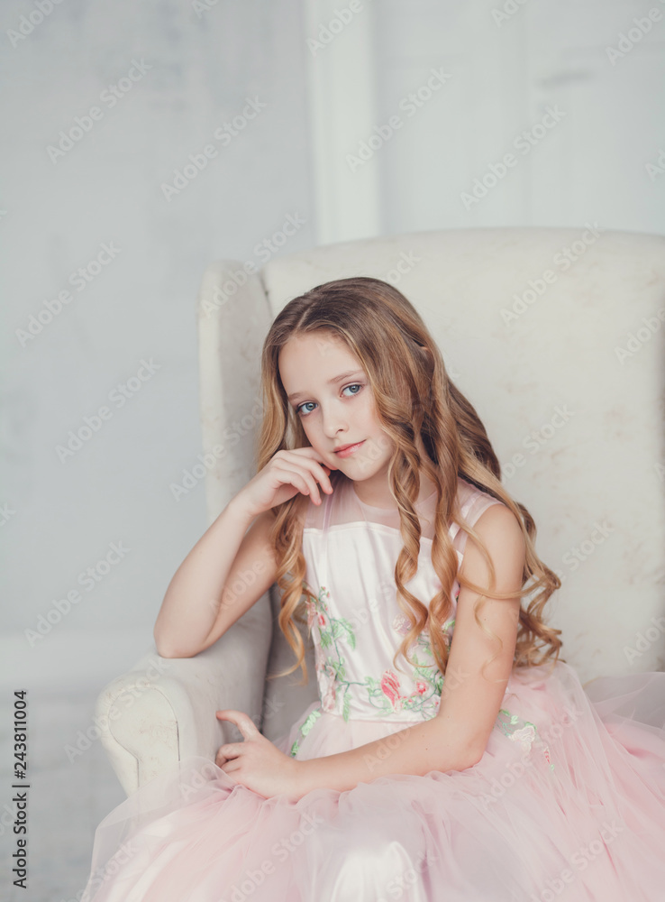 portrait little girl princess in beautiful dress portrait little girl princess in beautiful dress