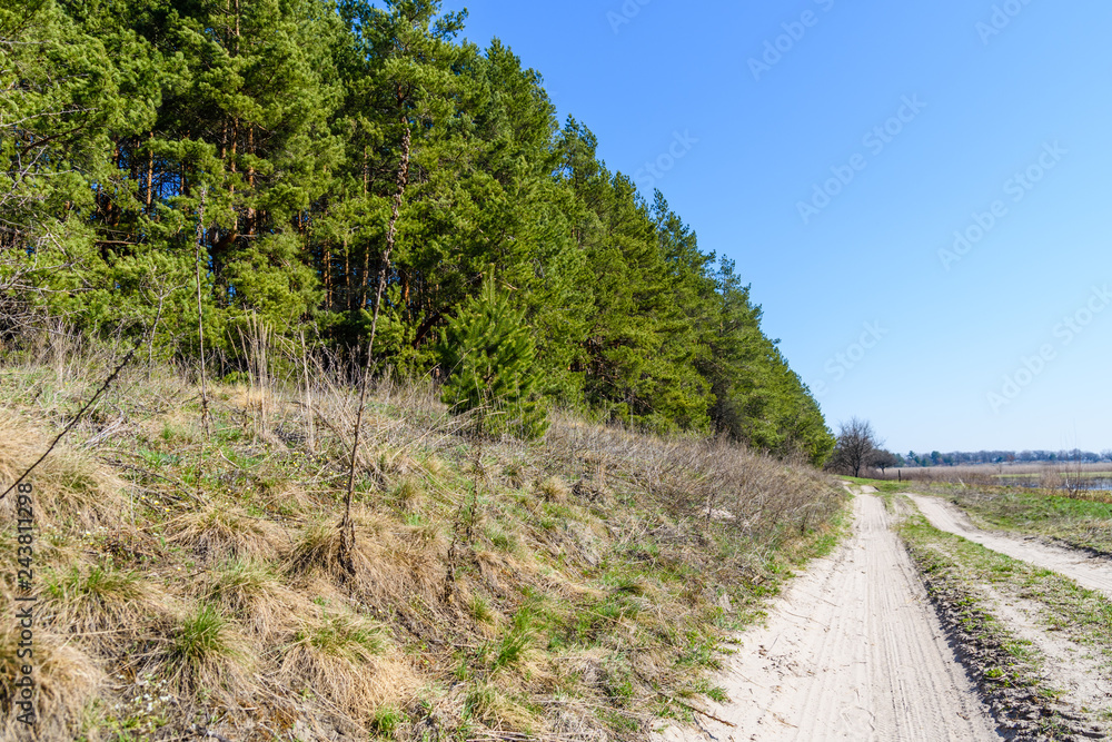 Dirt road near the forest on early spring Dirt road near the forest on early spring
