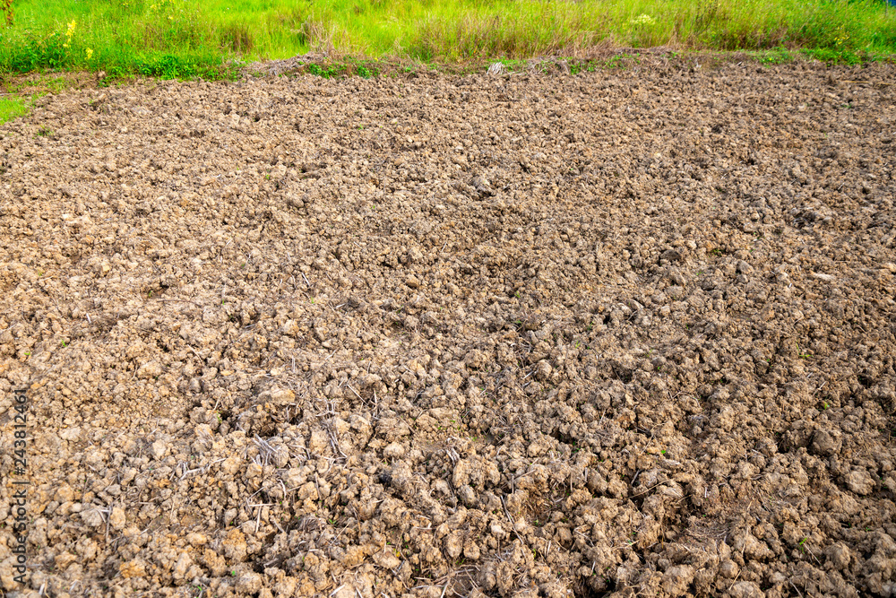 Plowed soil for seedling Plowed soil for seedling