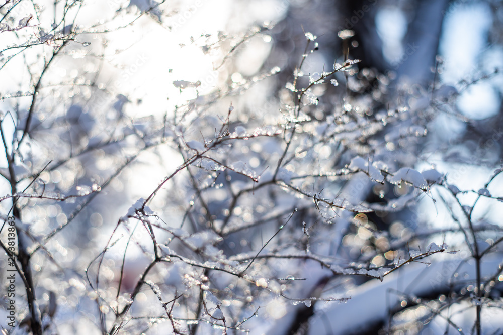 branches covered with heavy snow on blur background and sunflare