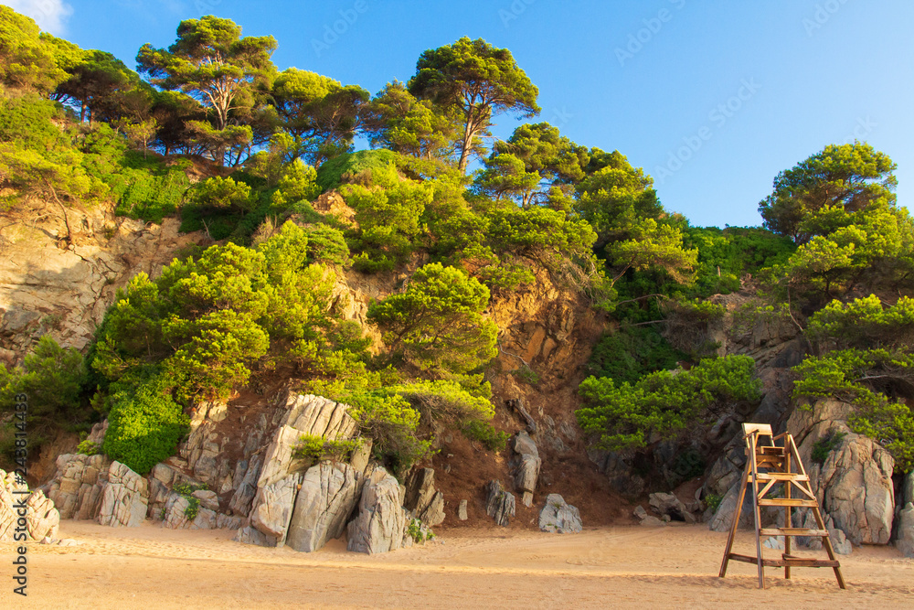 Forest on rocky mountain on sea coast in Lloret de Mar, Costa Brava, Spain.