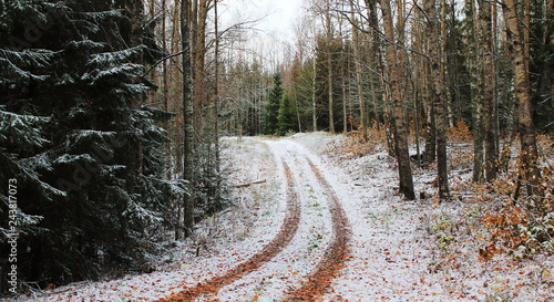 Road in Bergslagen,Sweden photo