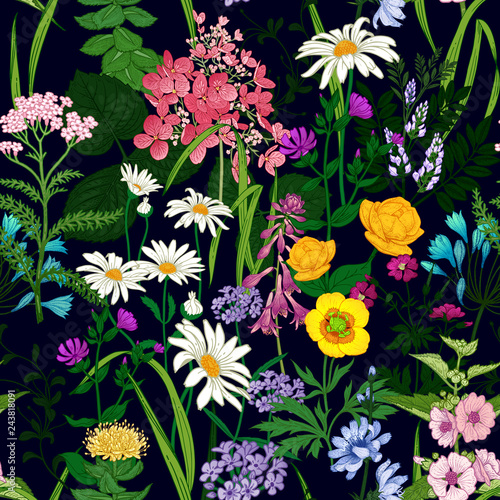 Seamless background with wild flowers. Floral pattern on black background.