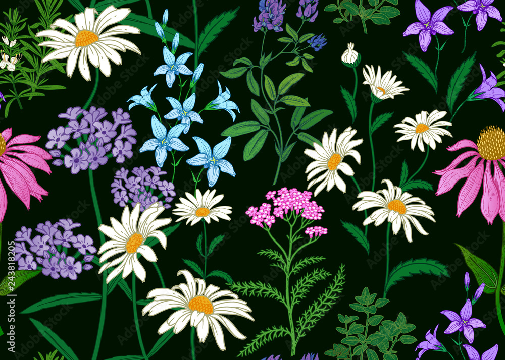 Seamless background with wild flowers. Full color pattern. Seamless background with wild flowers. Full color pattern.