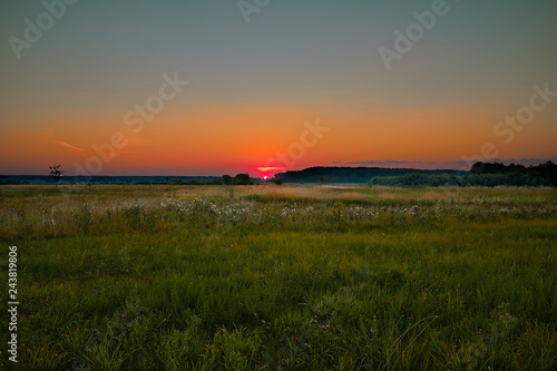 scarlet dawn, soft colors, field, forest, sun, summer