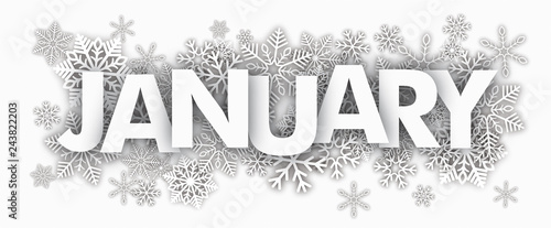 White Snowflakes January