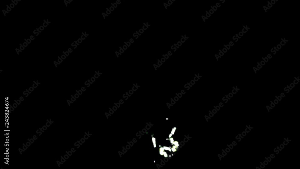 Abstract fractal forms morph and oscillate (Loop) Abstract fractal forms morph and oscillate (Loop)