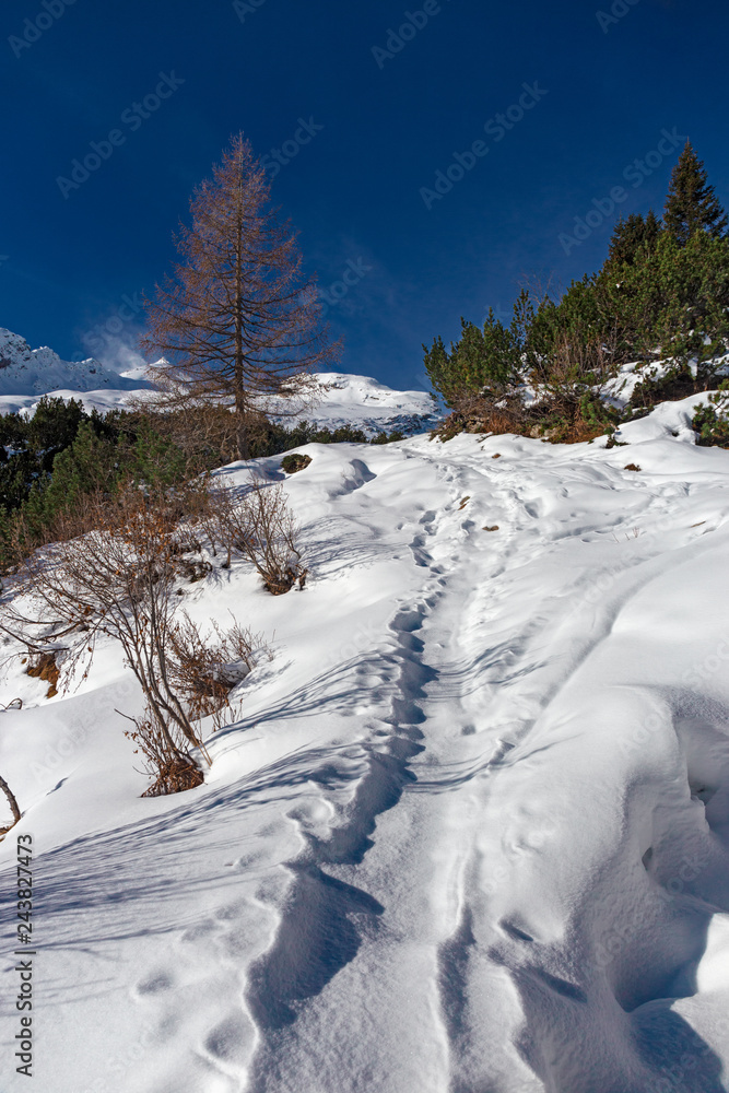 Panoramic view of a winter mountain landscape. Panoramic view of a winter mountain landscape.